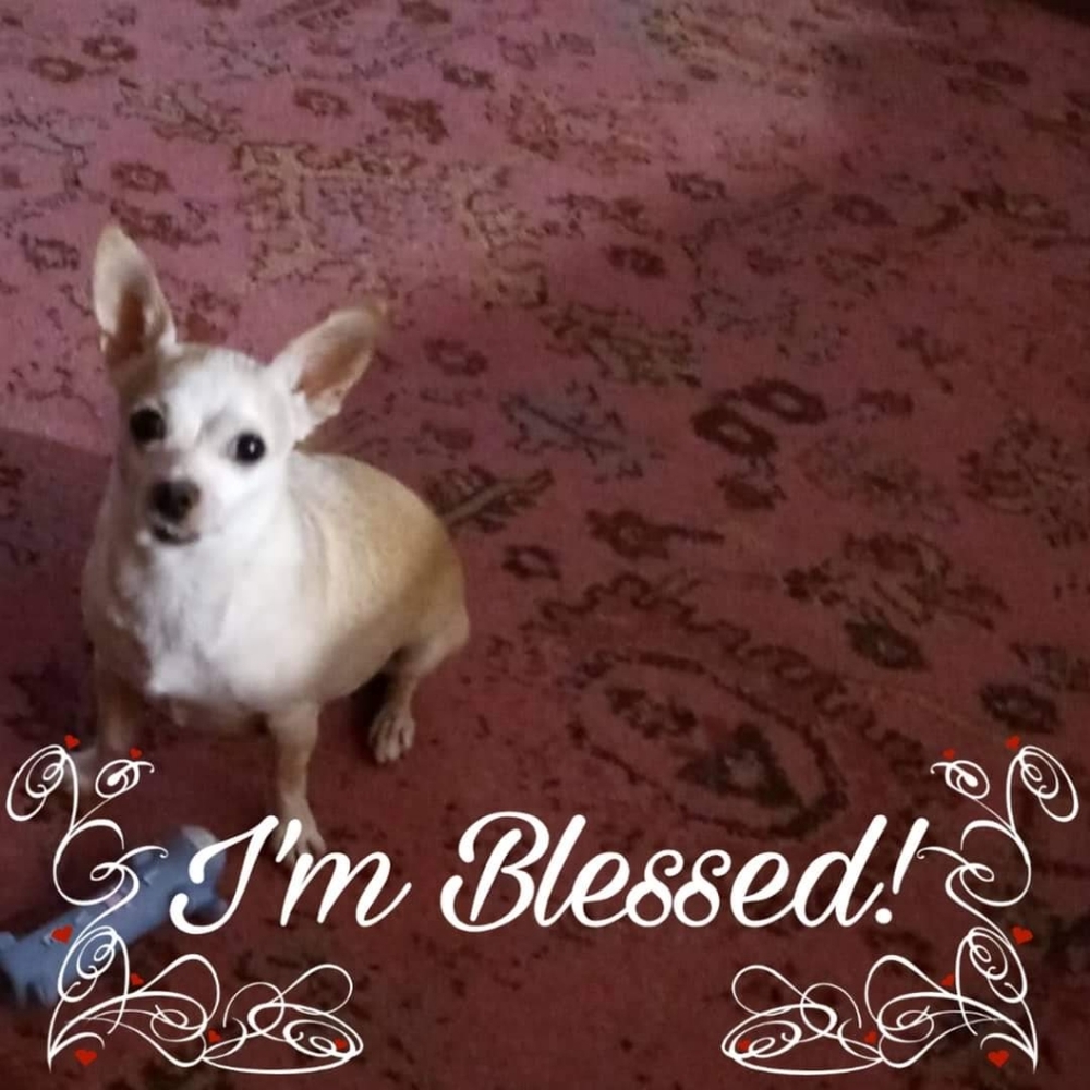 Meet your Posher, Jilixza